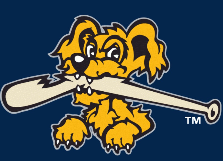 Charleston RiverDogs Fanmail Address